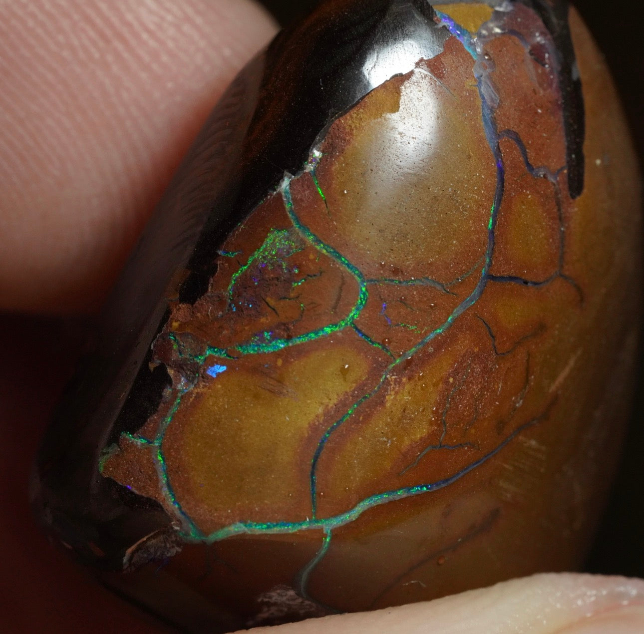 Free Australian Opal Boulder Opal 30/03/26