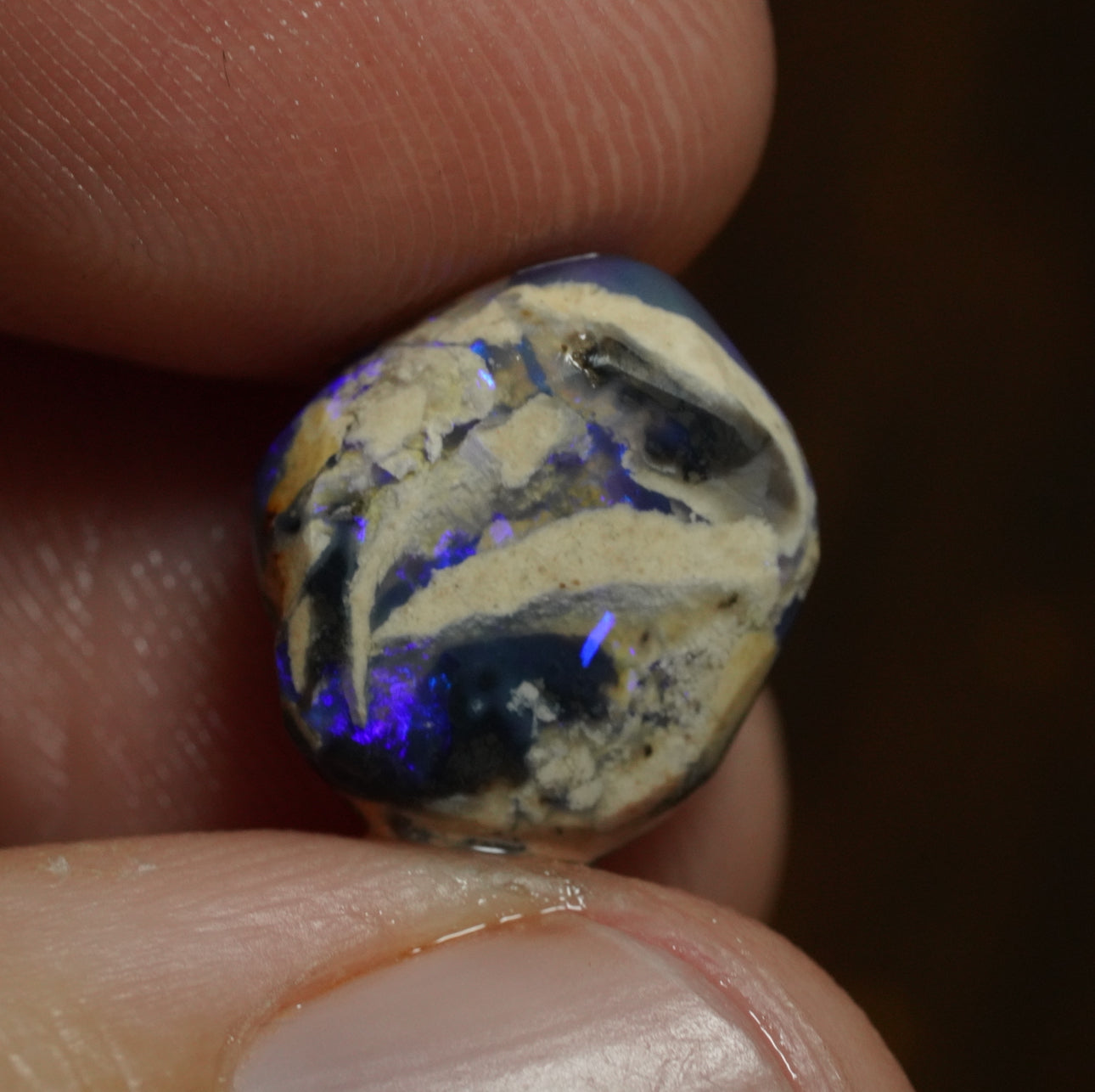 Free Australian Opal Specimen