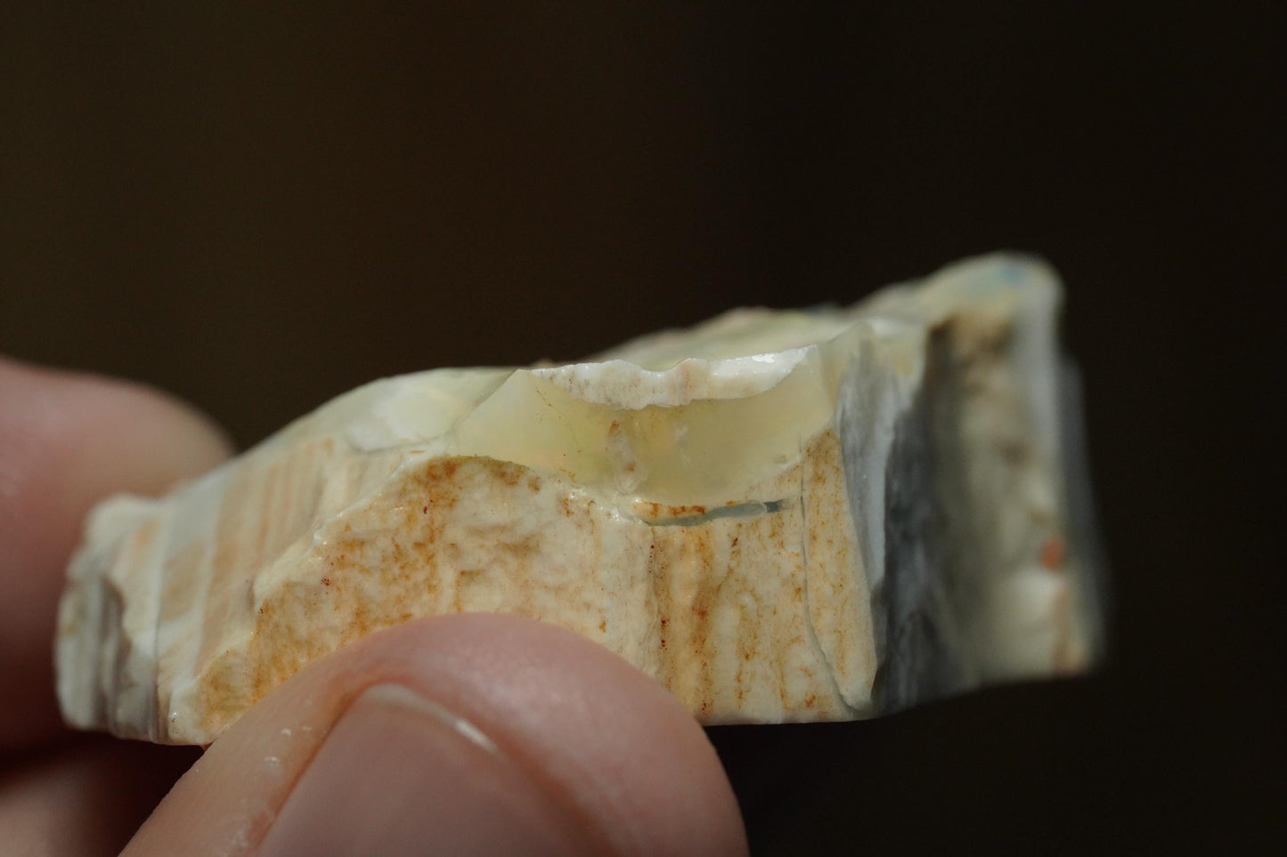 Petrified Opalised Wood Fossil Specimen