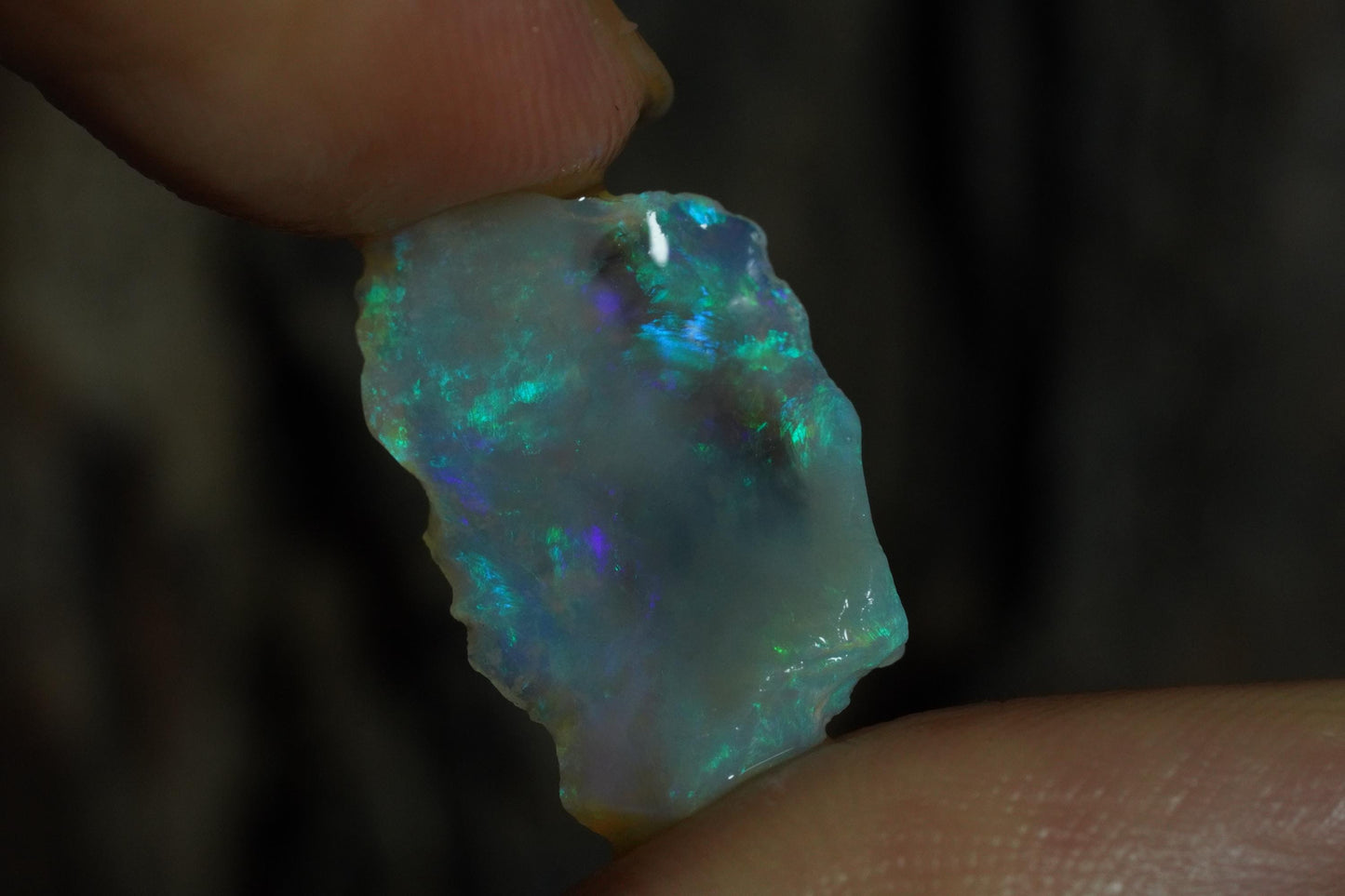 Rough Australian Opal