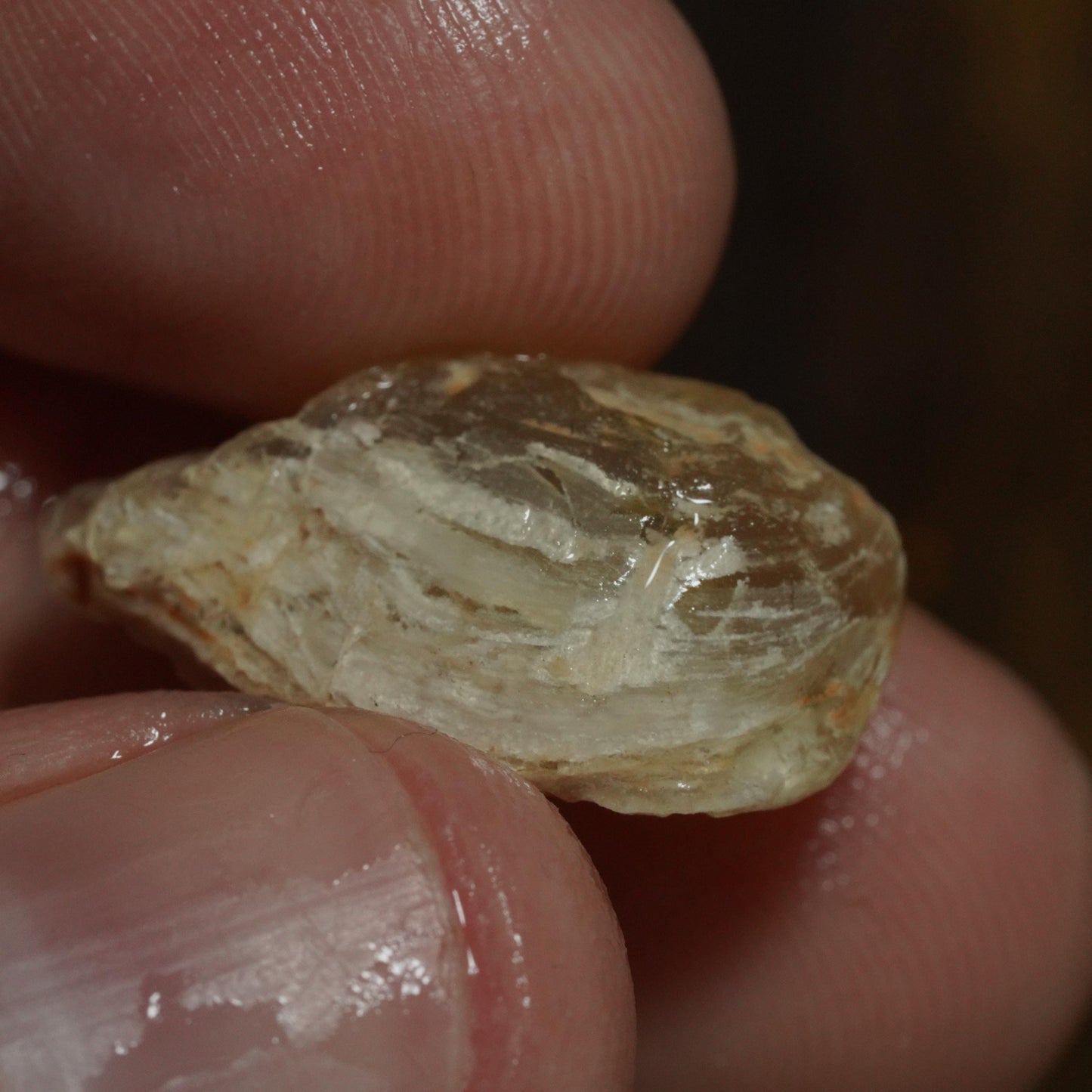 Opalised Fossil Mussel Shell