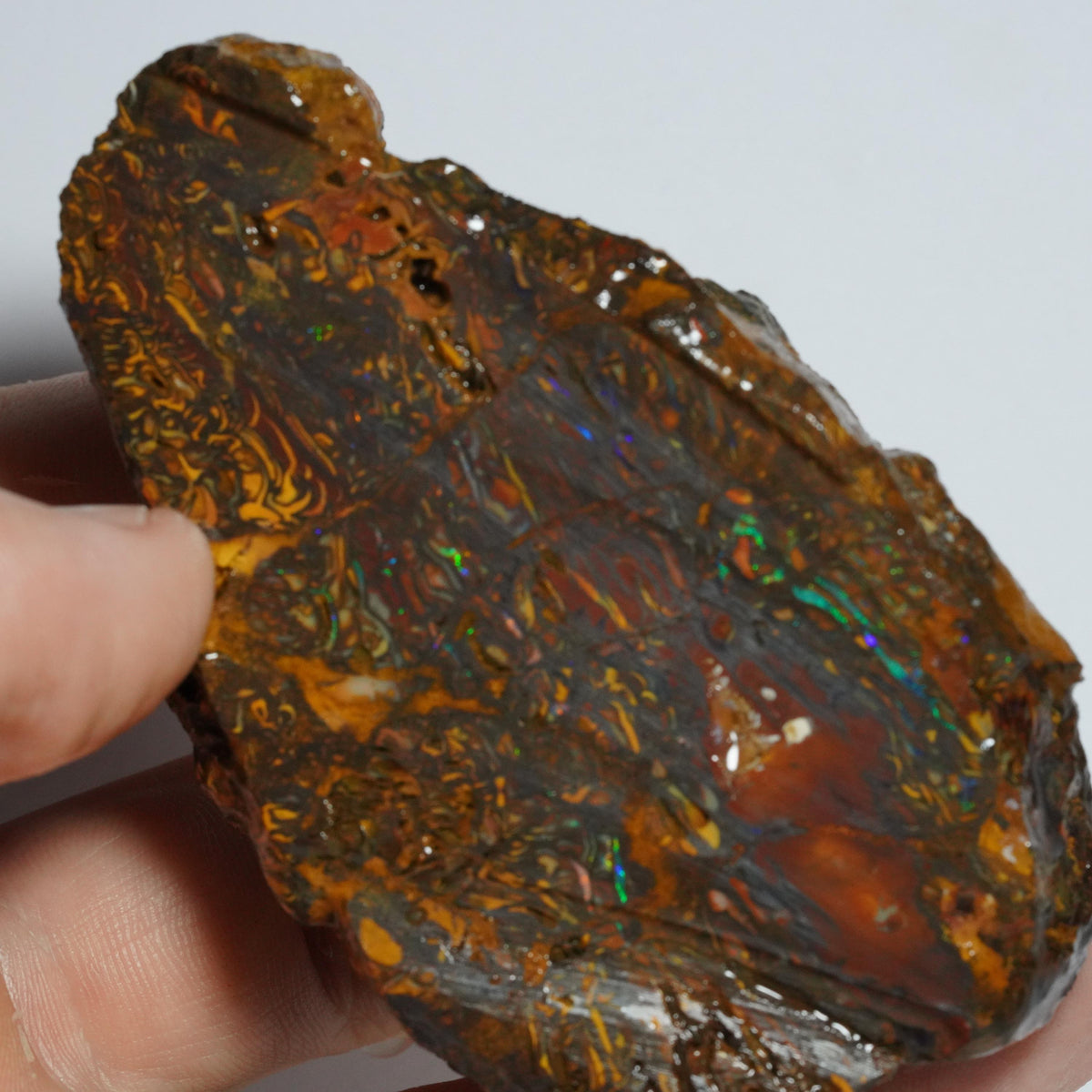 Boulder Opal Rough