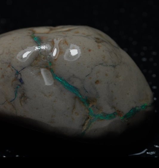 Free Australian Opal Specimen