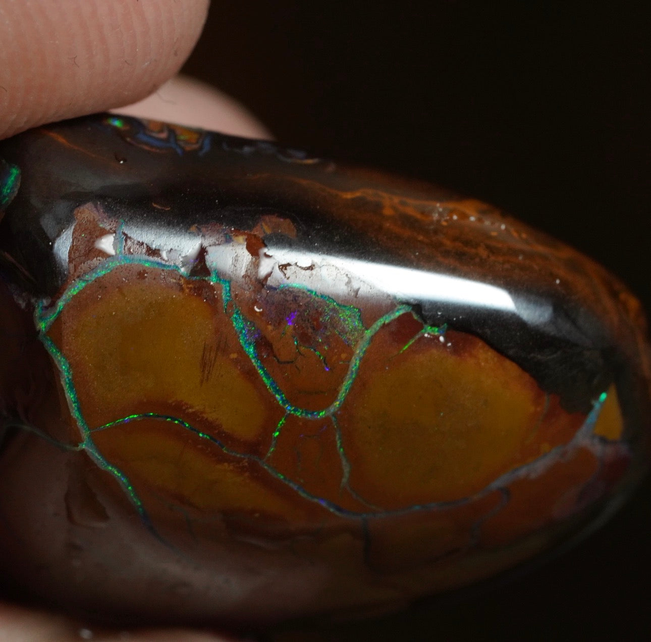 Free Australian Opal Boulder Opal 30/03/26
