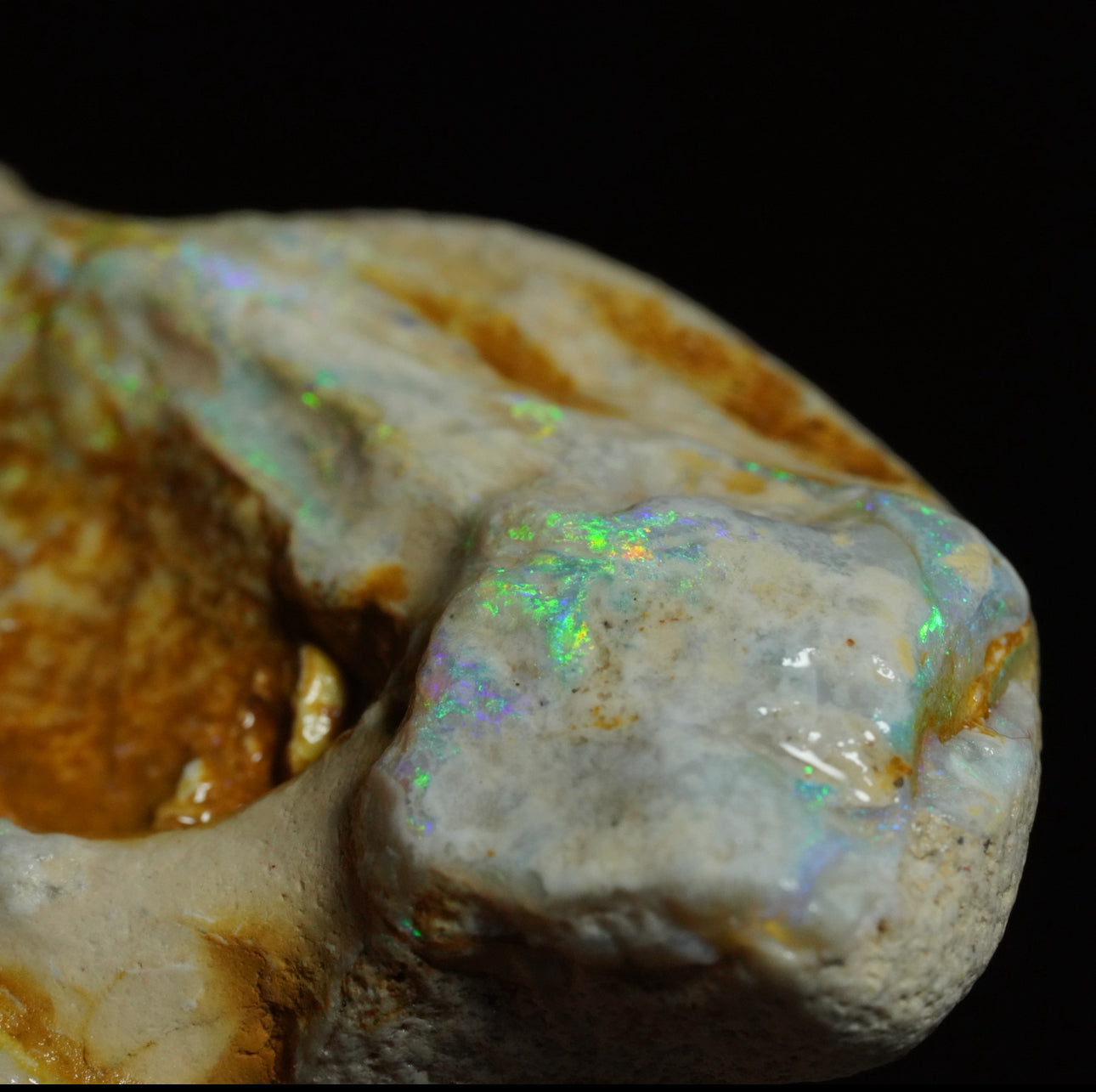 Free Australian Opal Specimen