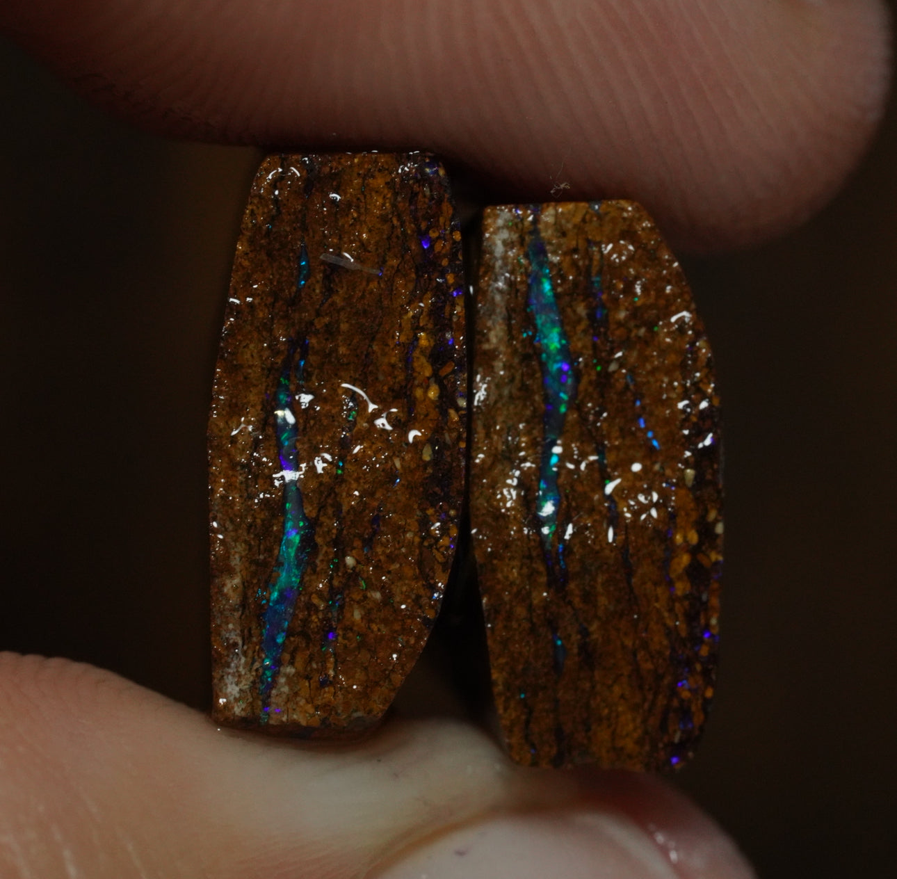 Free Australian Boulder Opal