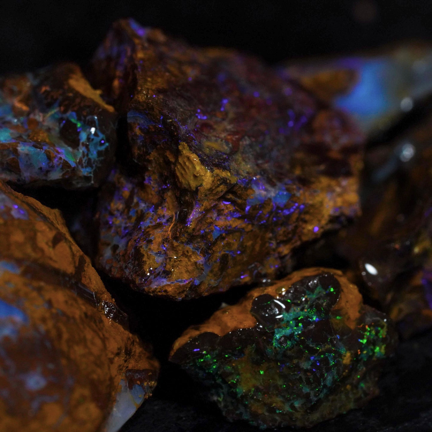 Opal Hunters Boulder Opal Paydirt