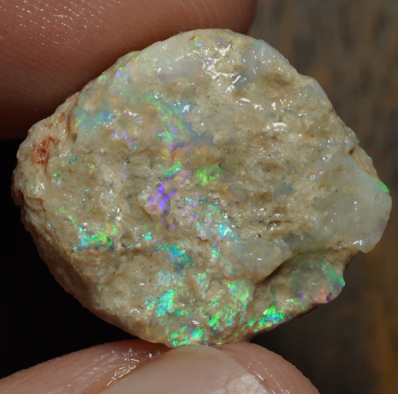 Free Australian Opal Specimen