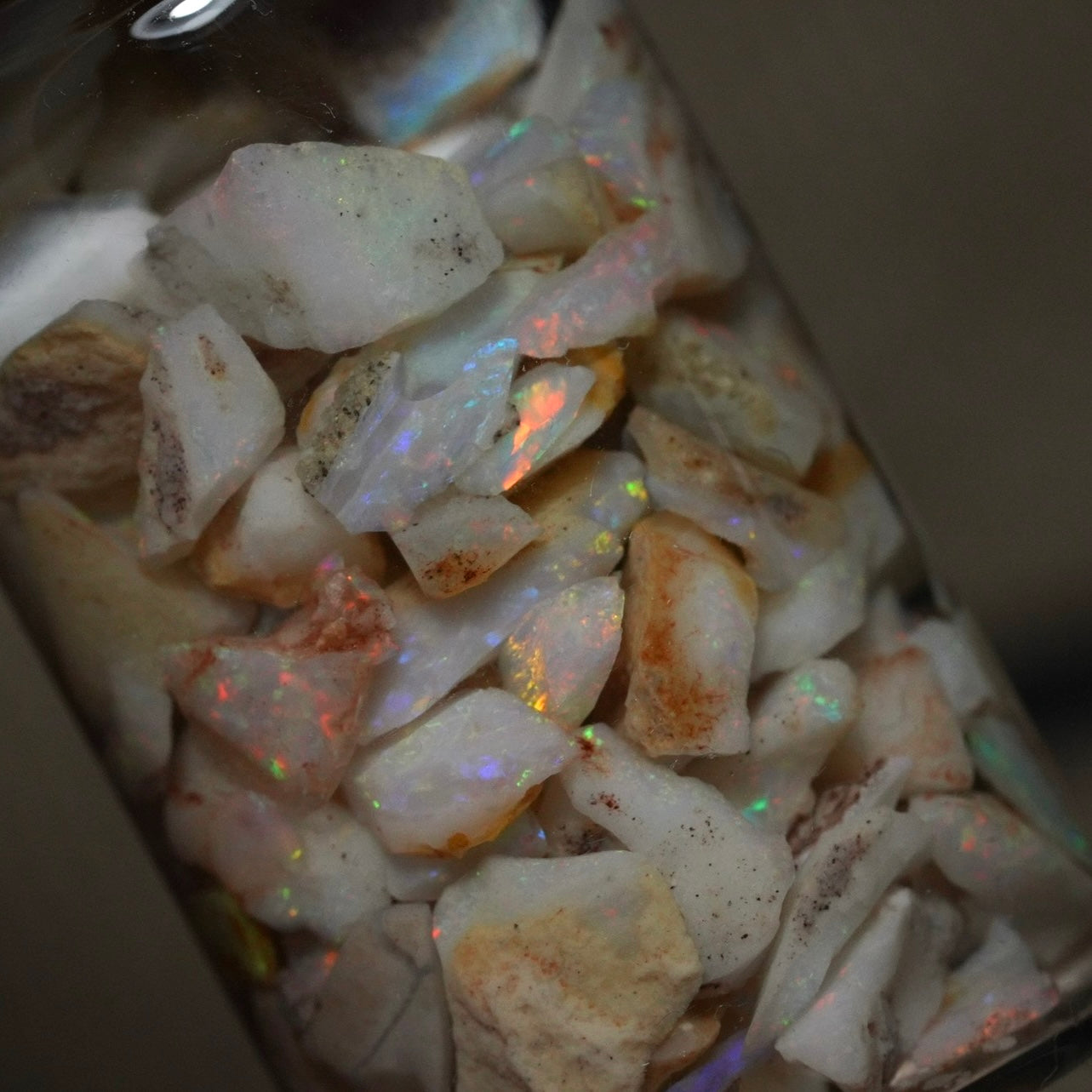 Opal Hunters Paydirt / Opal Paydirt