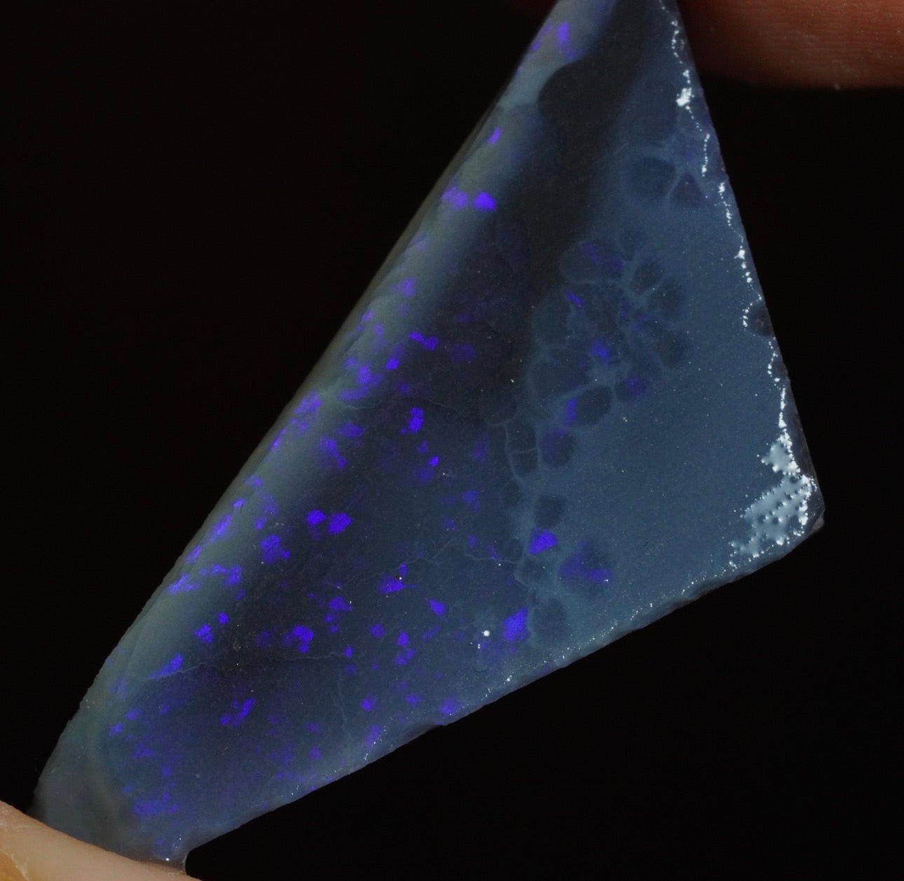 Free Australian Opal