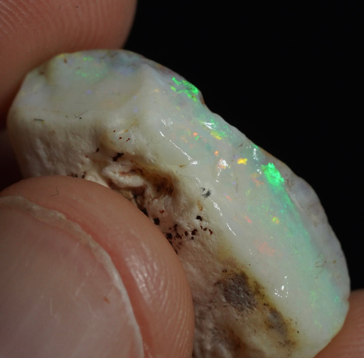 Free Australian Opal Rough 20/9/26 Claimed!