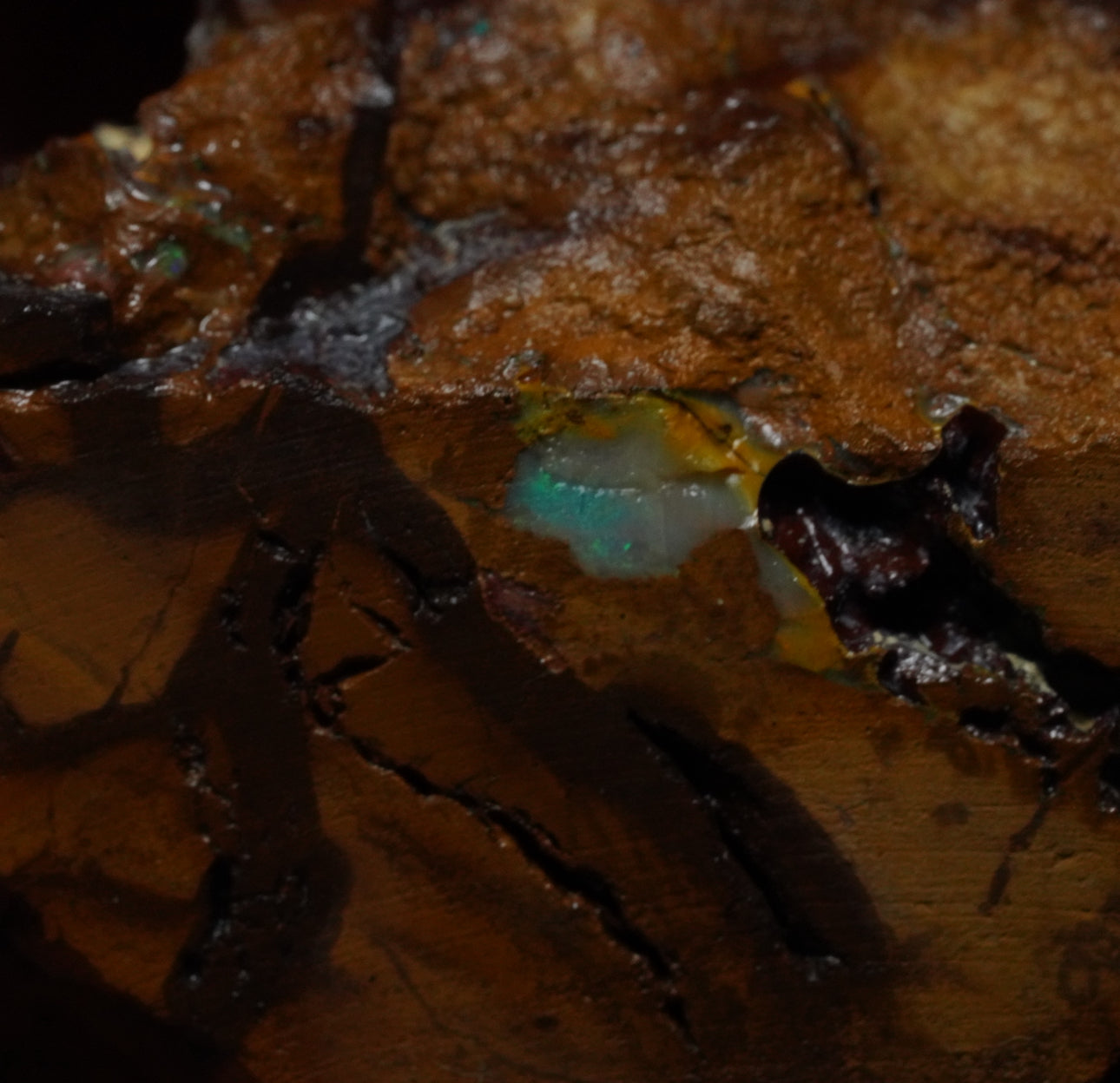 Free Australian Boulder Opal