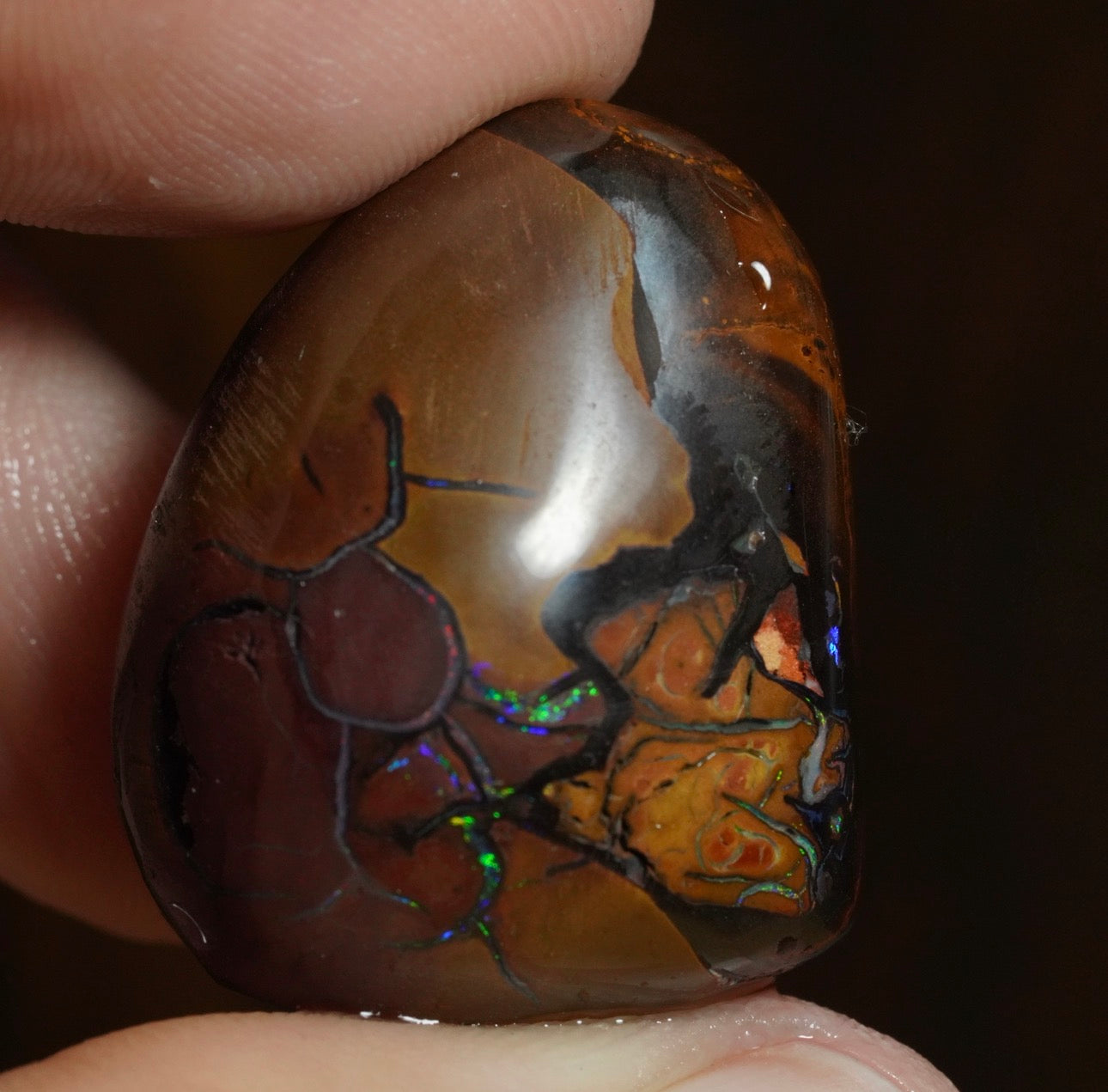 Free Australian Opal Boulder Opal 30/03/26
