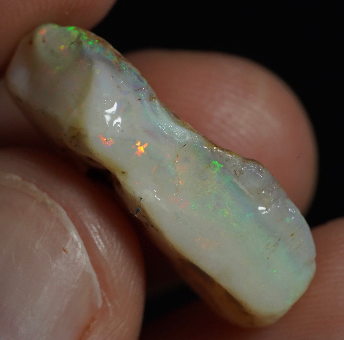 Free Australian Opal Rough 20/9/26 Claimed!