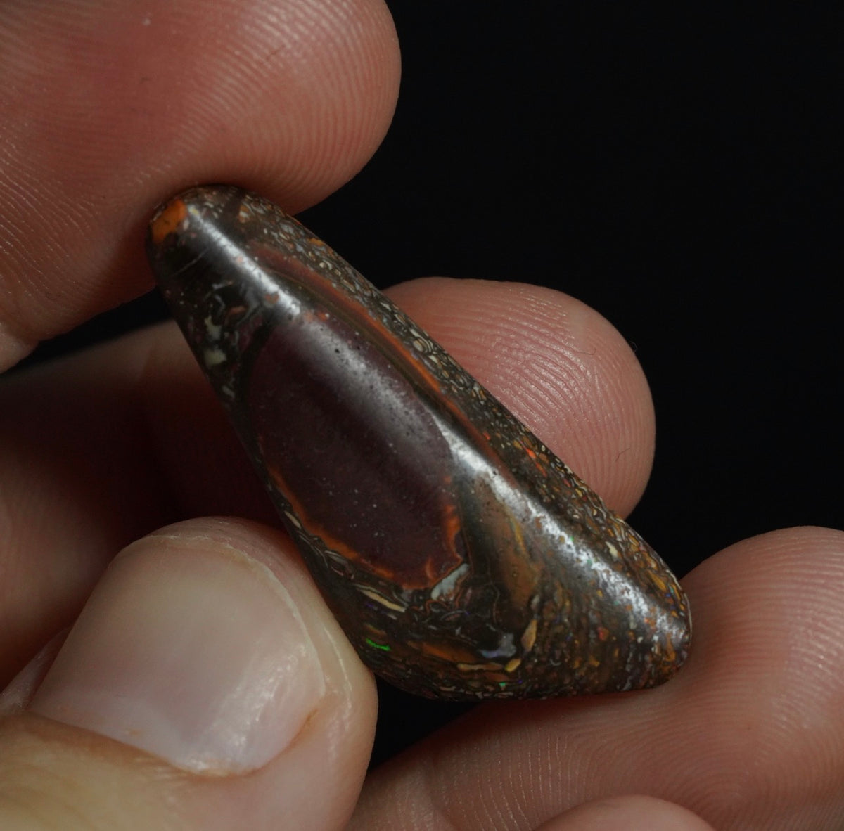 Free Australian Opal Boulder Opal 21/9/26 Will become available at 4pm AEST Claimed