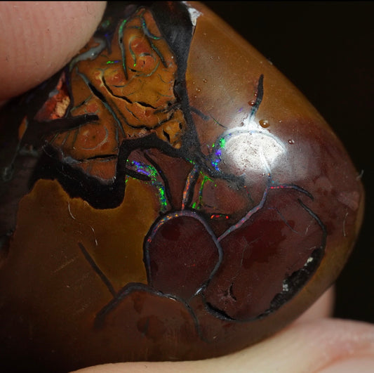 Free Australian Opal Boulder Opal 30/03/26