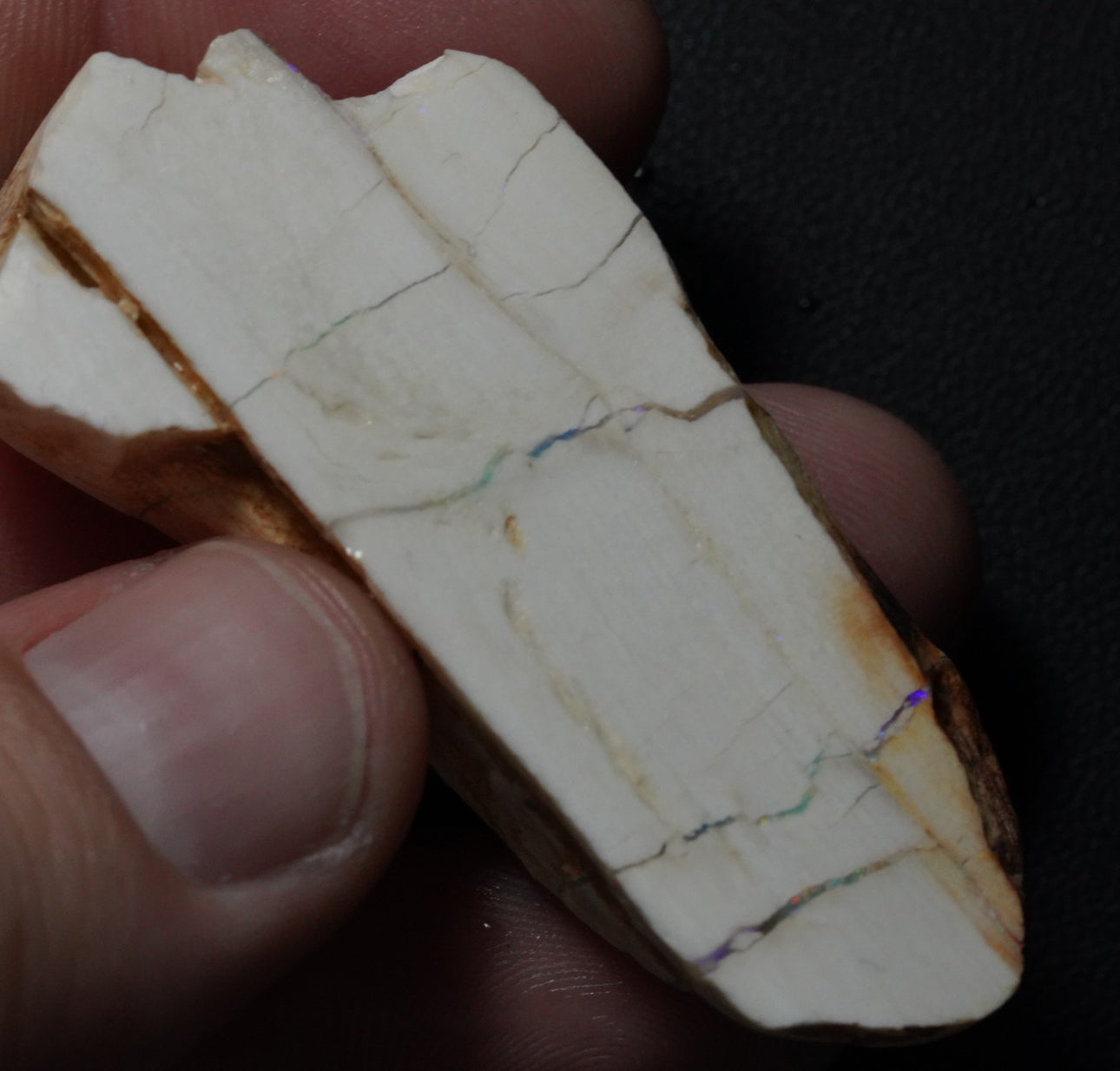 Free Australian Opal Petrified Wood Specimen