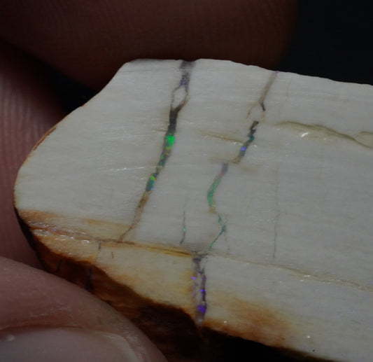 Free Australian Opal Petrified Wood Specimen