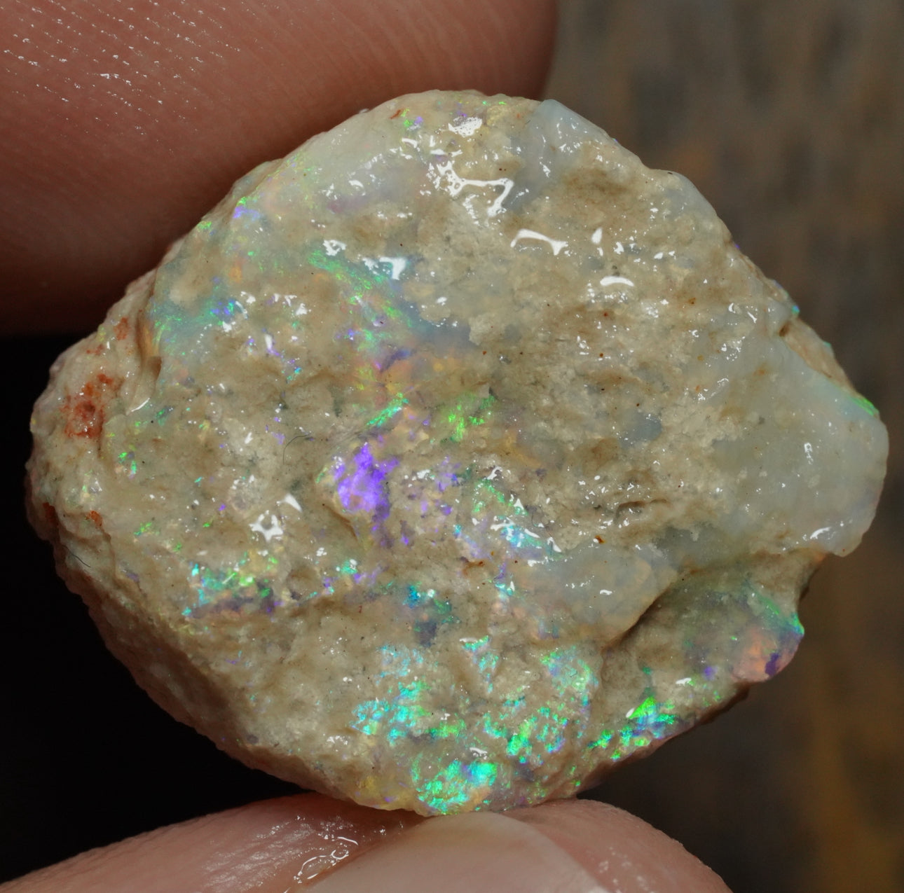 Free Australian Opal Specimen