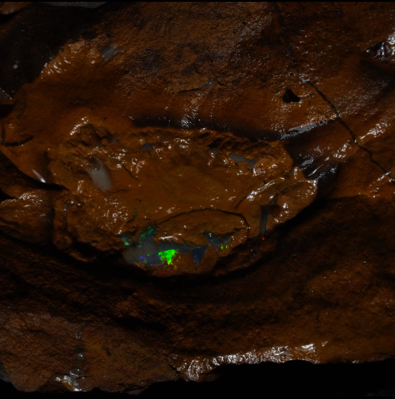 Free Australian Boulder Opal