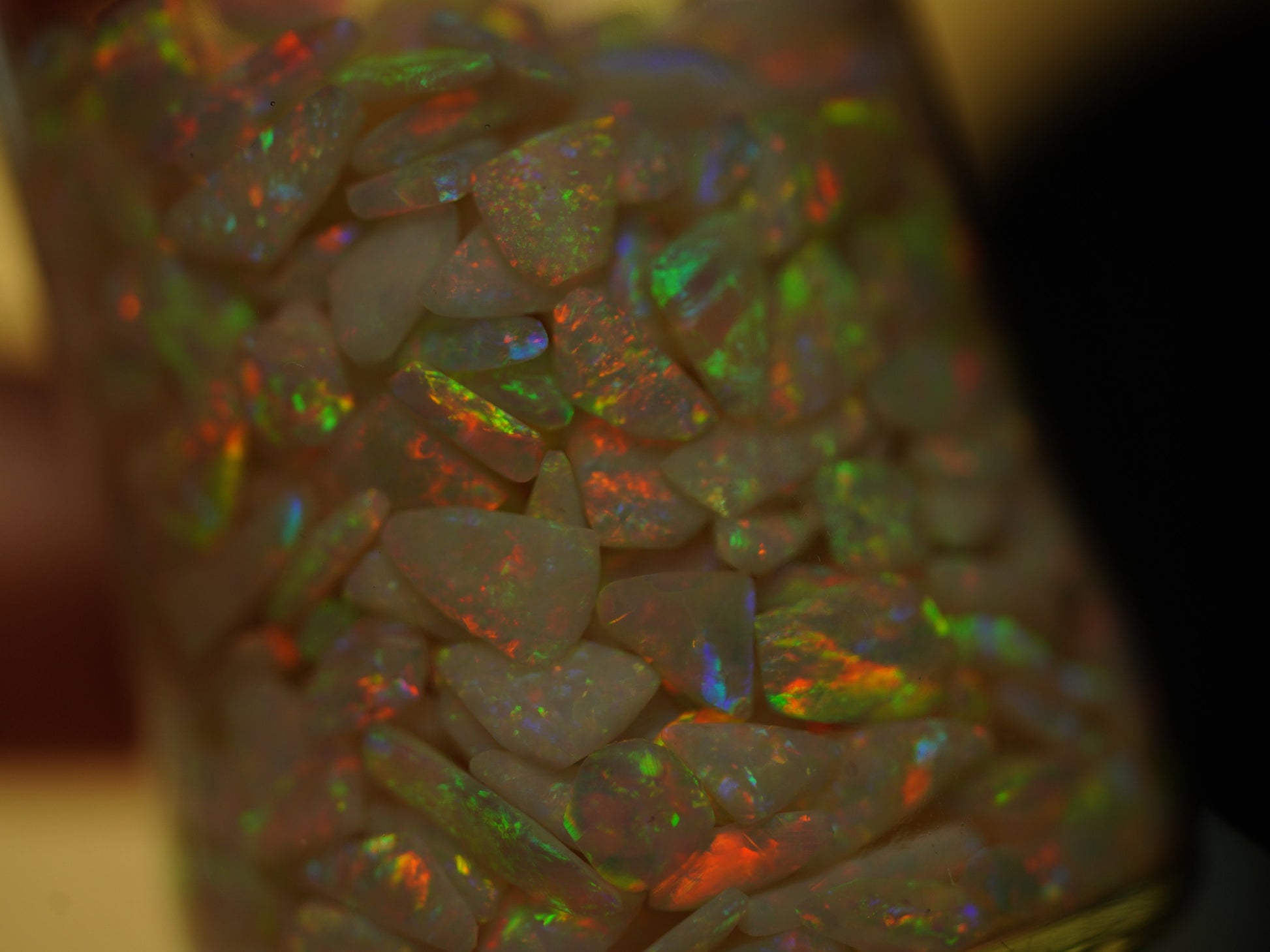 Collectable Young Guns Opal Chip!