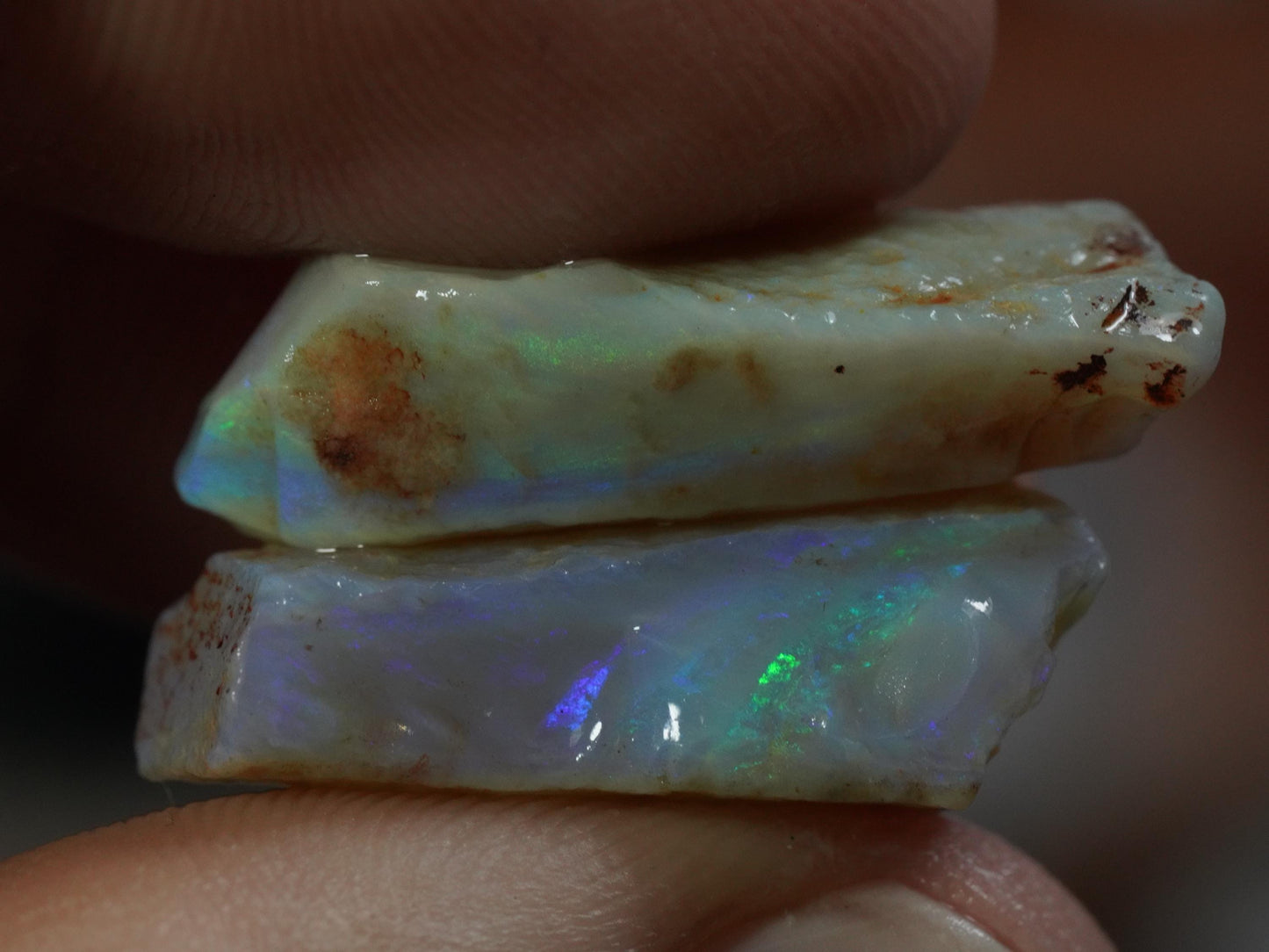 Rough Australian Opal