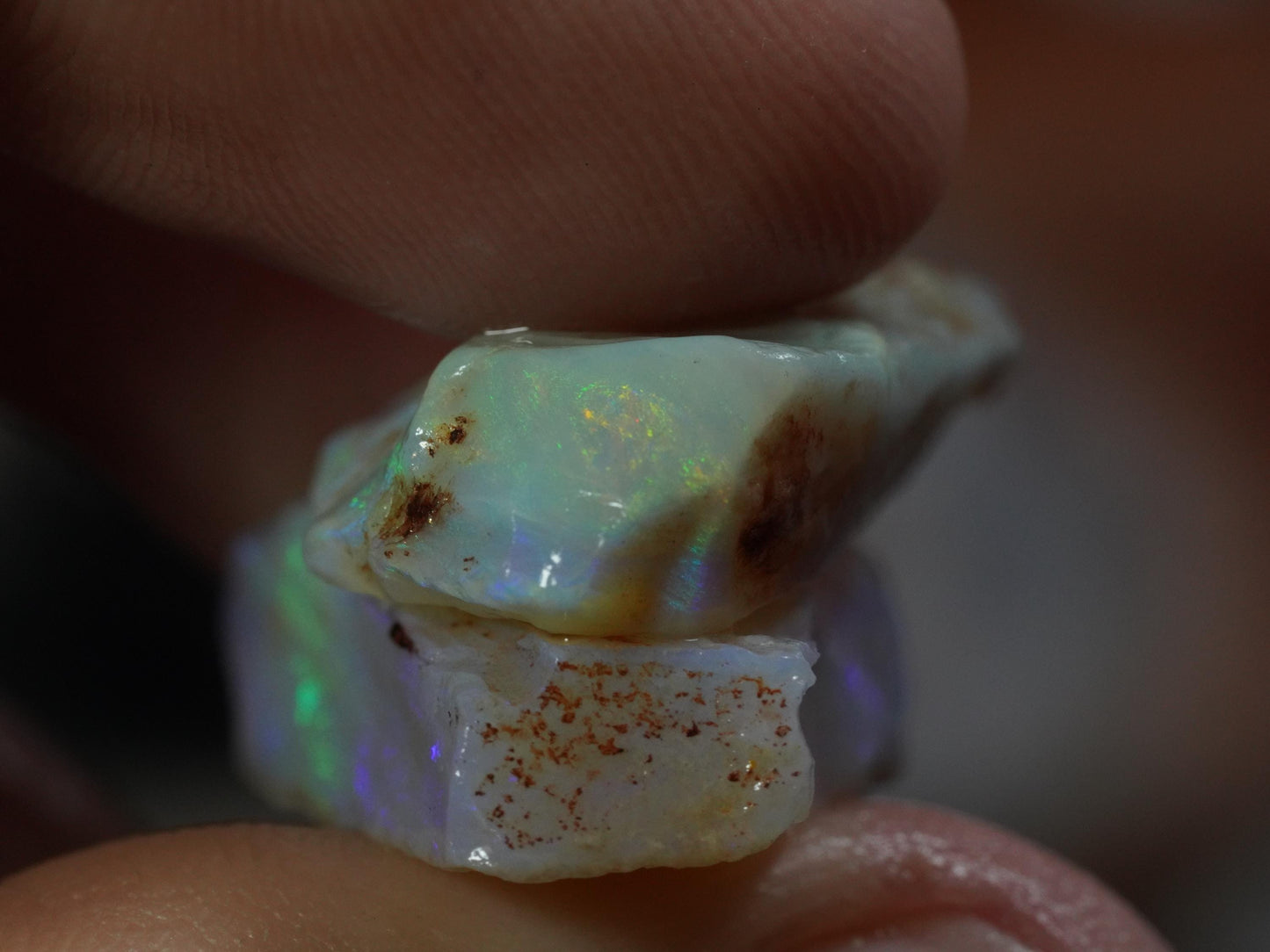 Rough Australian Opal