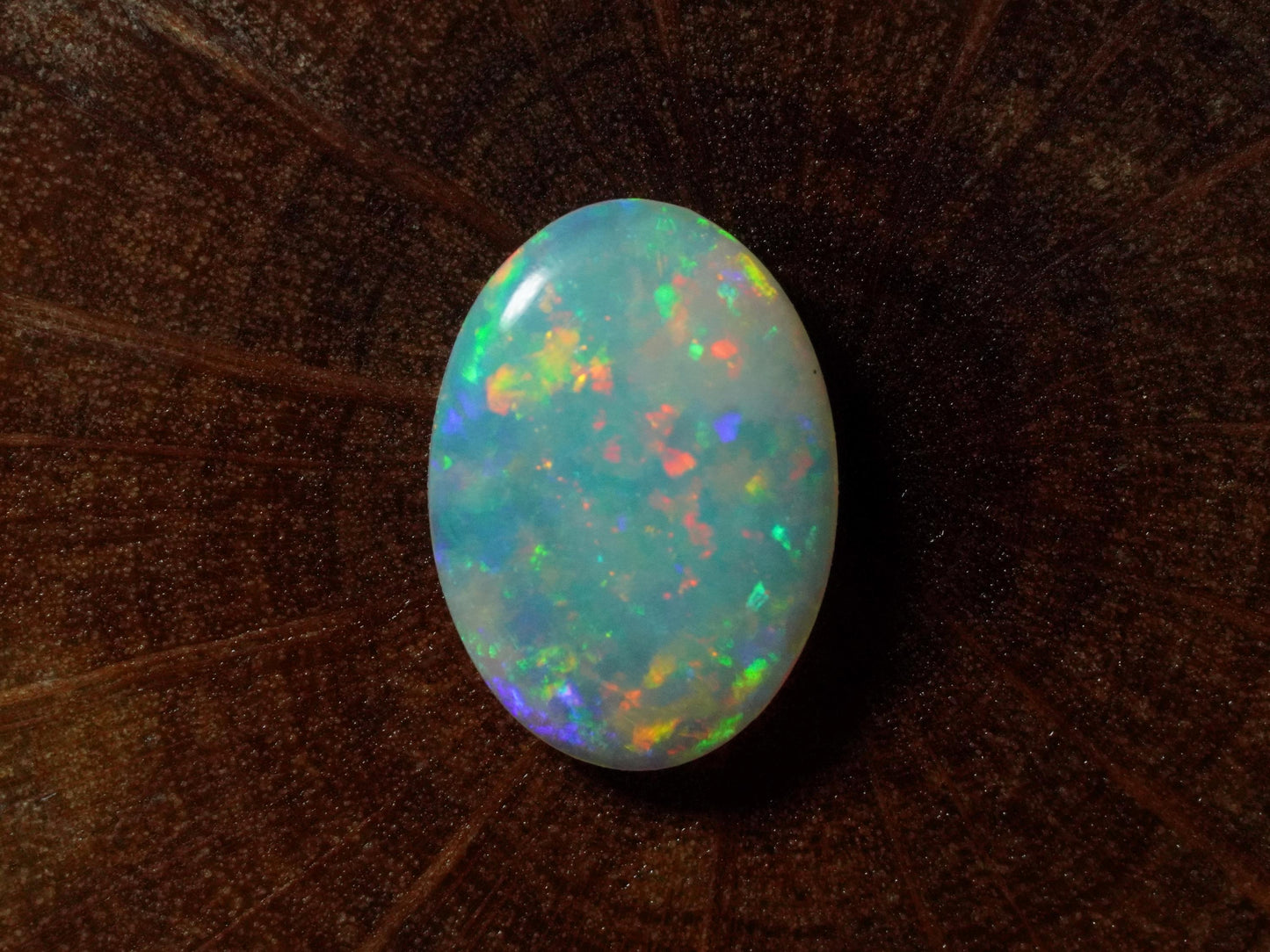Australian Opal Cut Stones