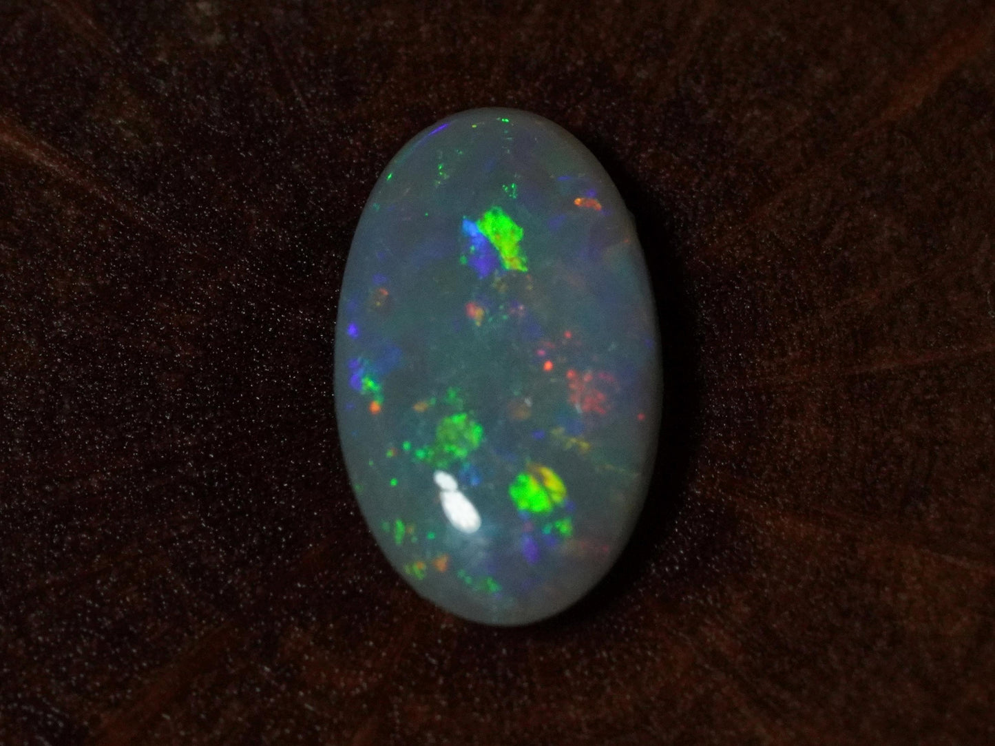 Australian Opal Cut Stones