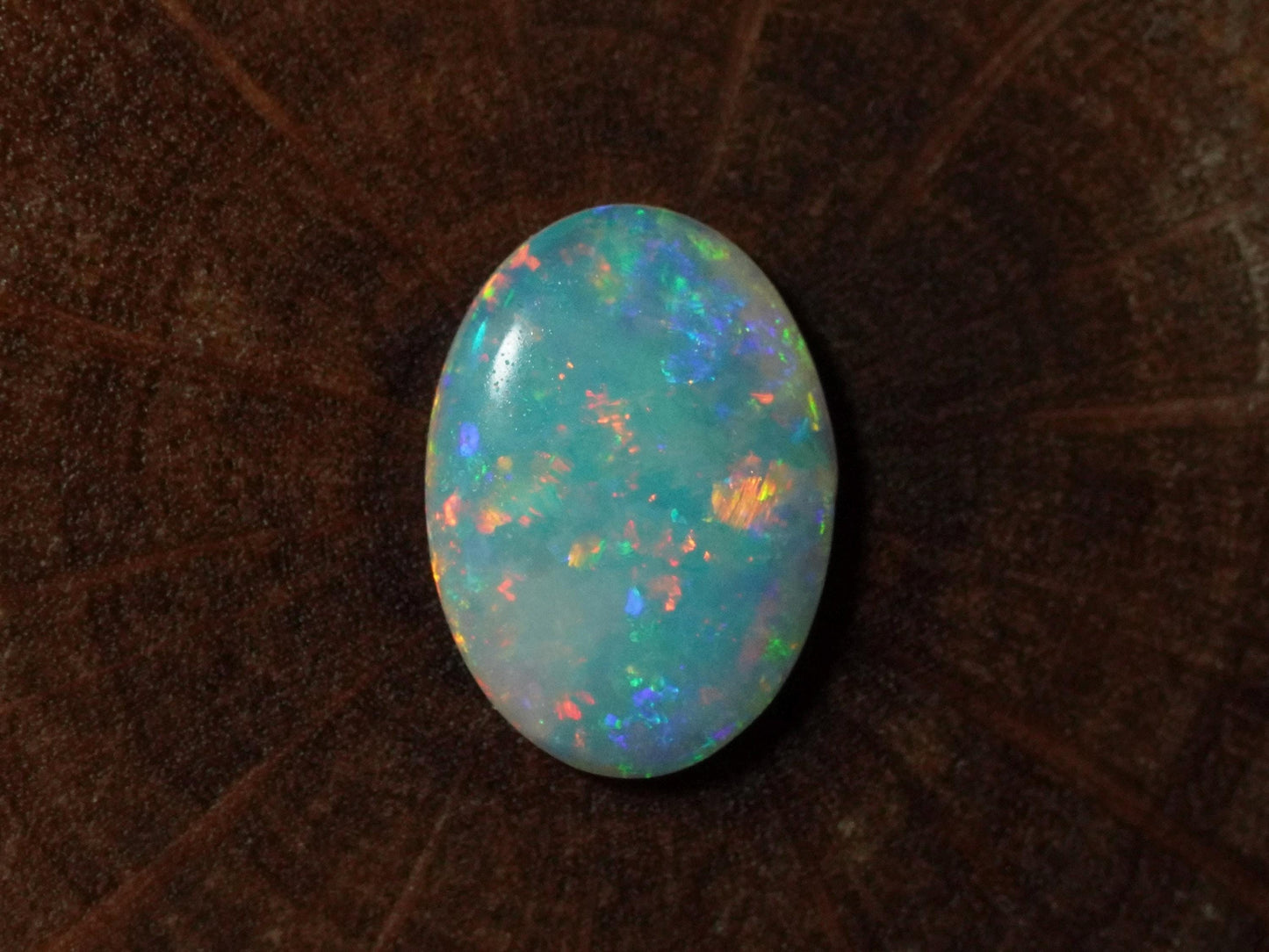 Australian Opal Cut Stones