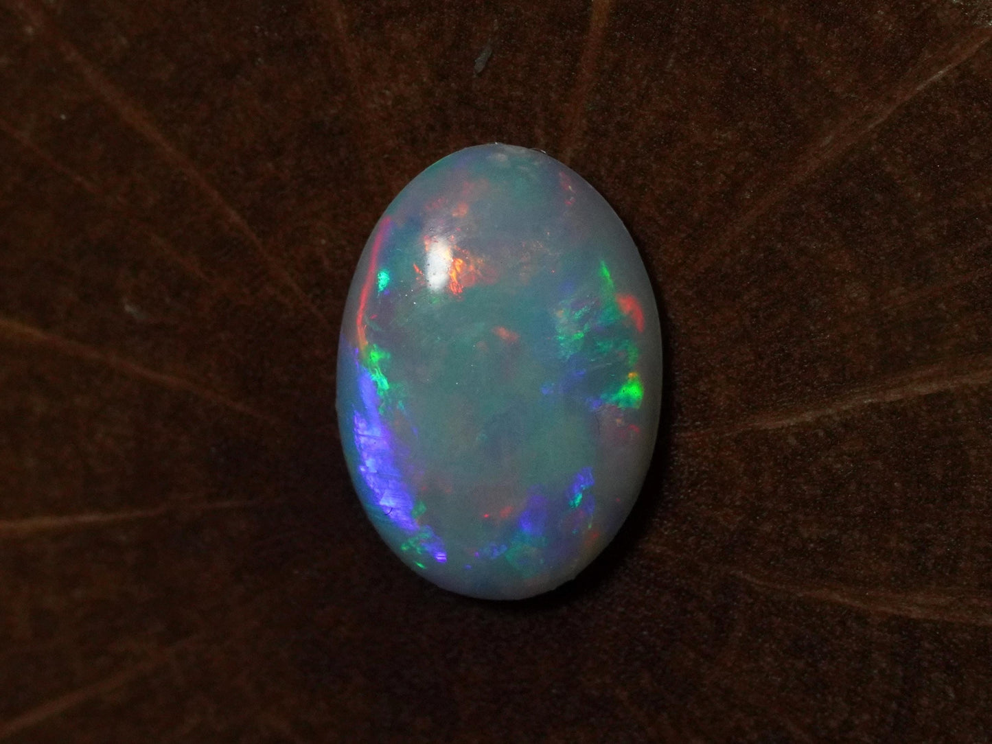 Australian Opal Cut Stones