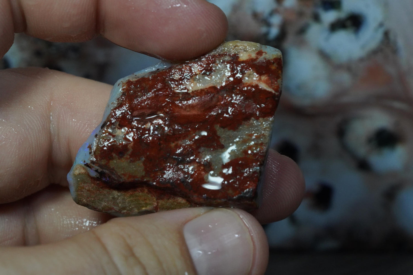 Rough Australian Opal