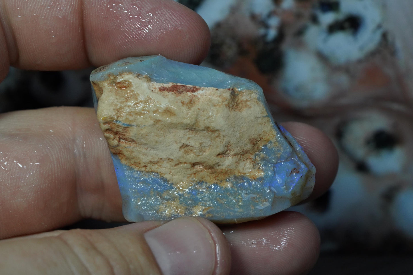 Rough Australian Opal
