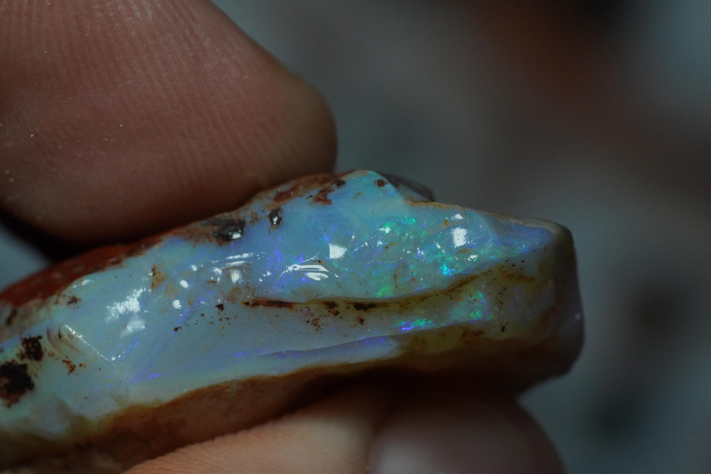 Rough Australian Opal