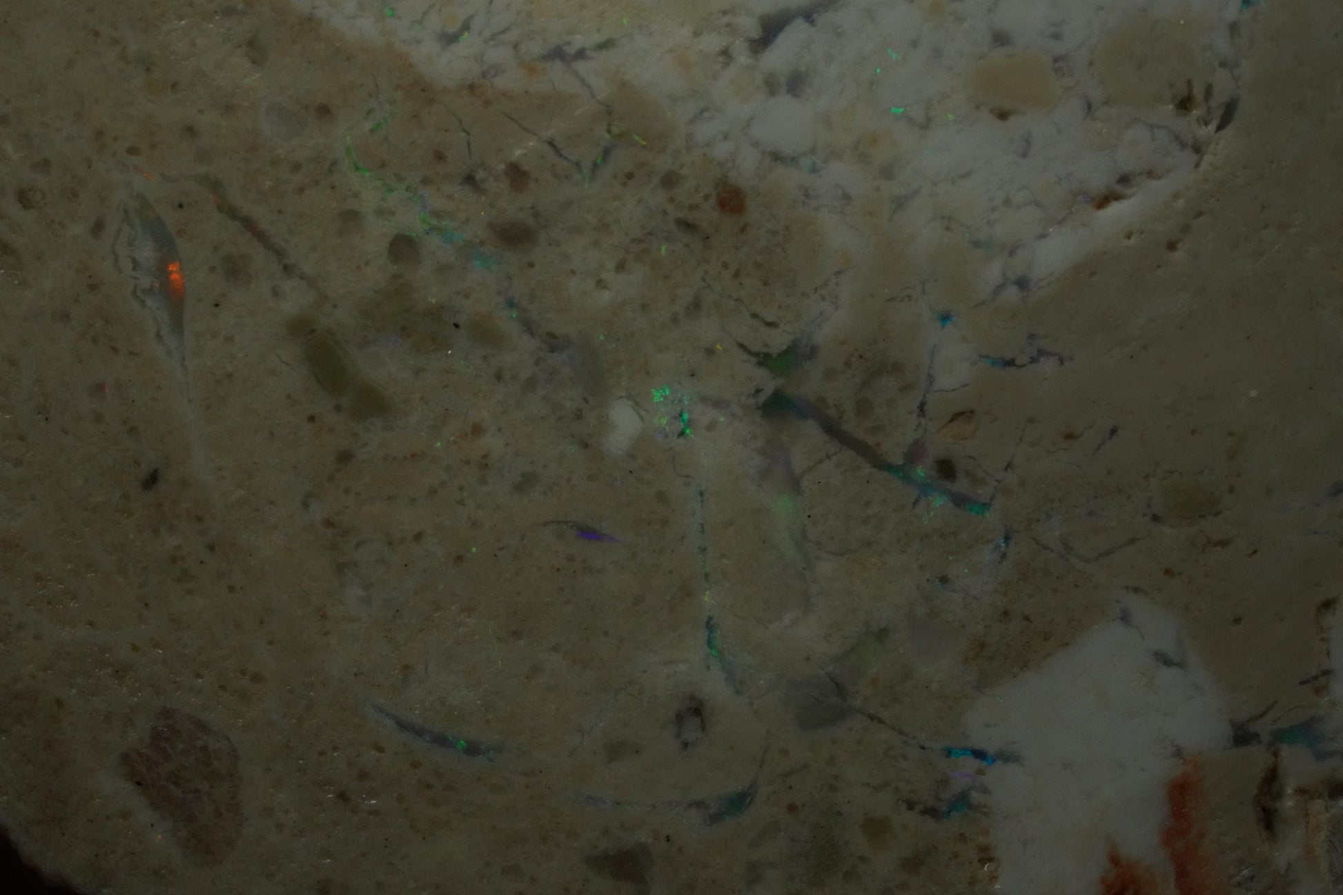 Petrified Opalised Wood Fossil Specimen