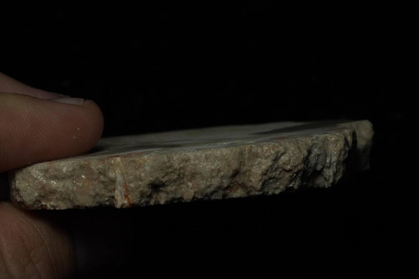 Petrified Opalised Wood Fossil Specimen