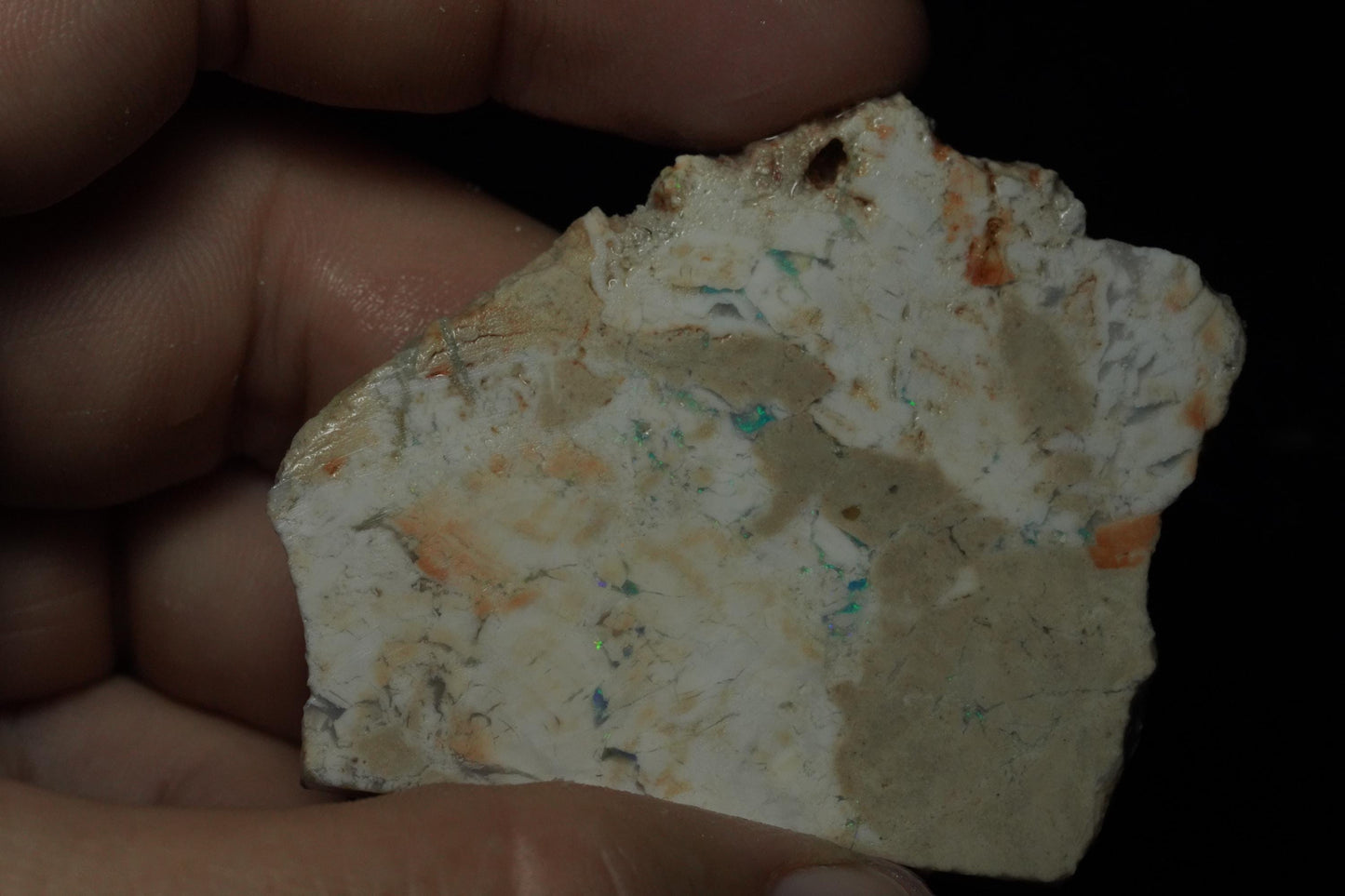 Petrified Opalised Wood Fossil Specimen