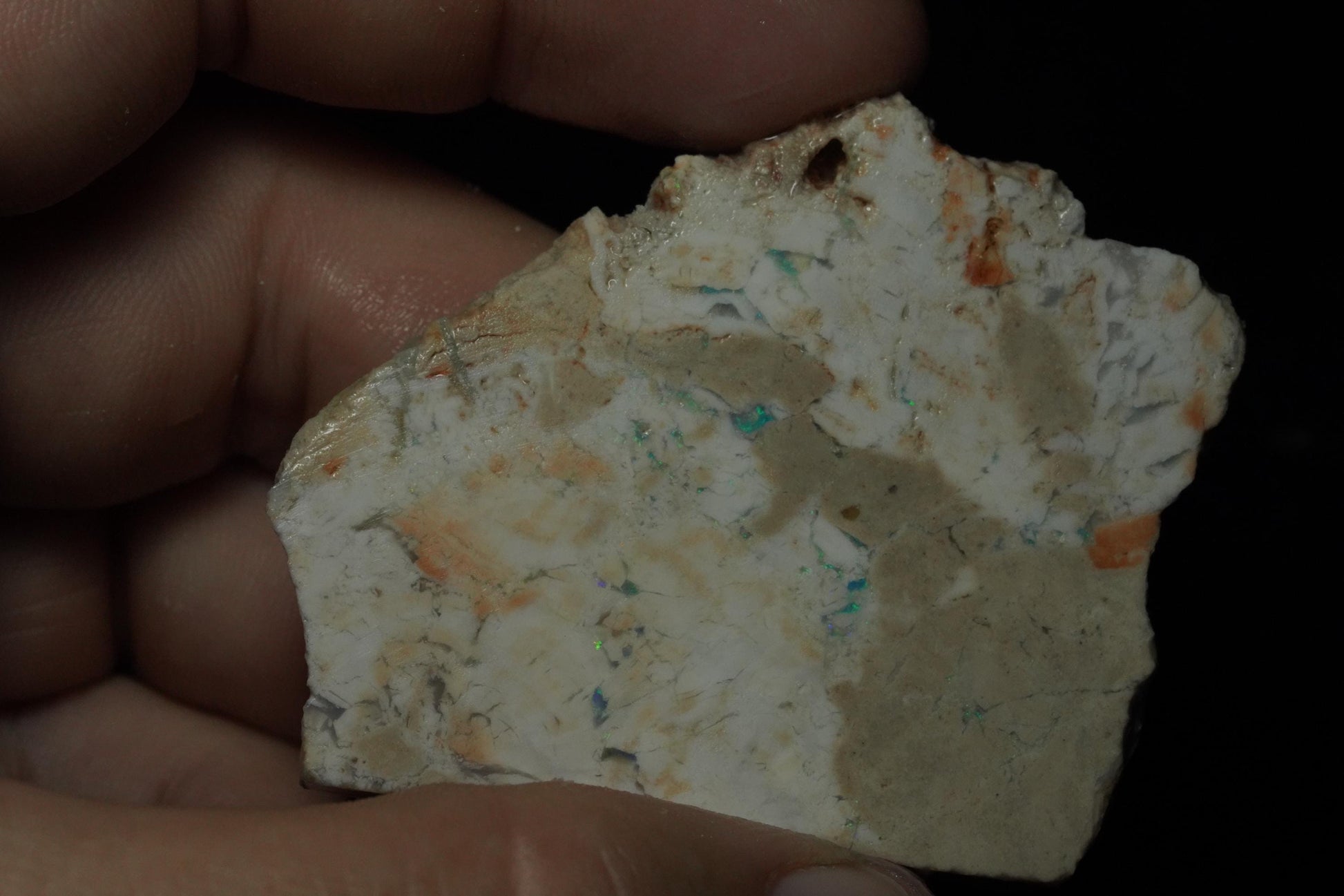 Petrified Opalised Wood Fossil Specimen