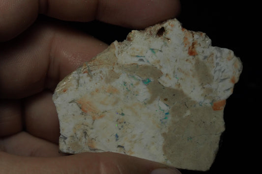 Petrified Opalised Wood Fossil Specimen