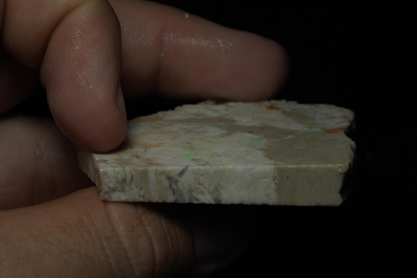 Petrified Opalised Wood Fossil Specimen