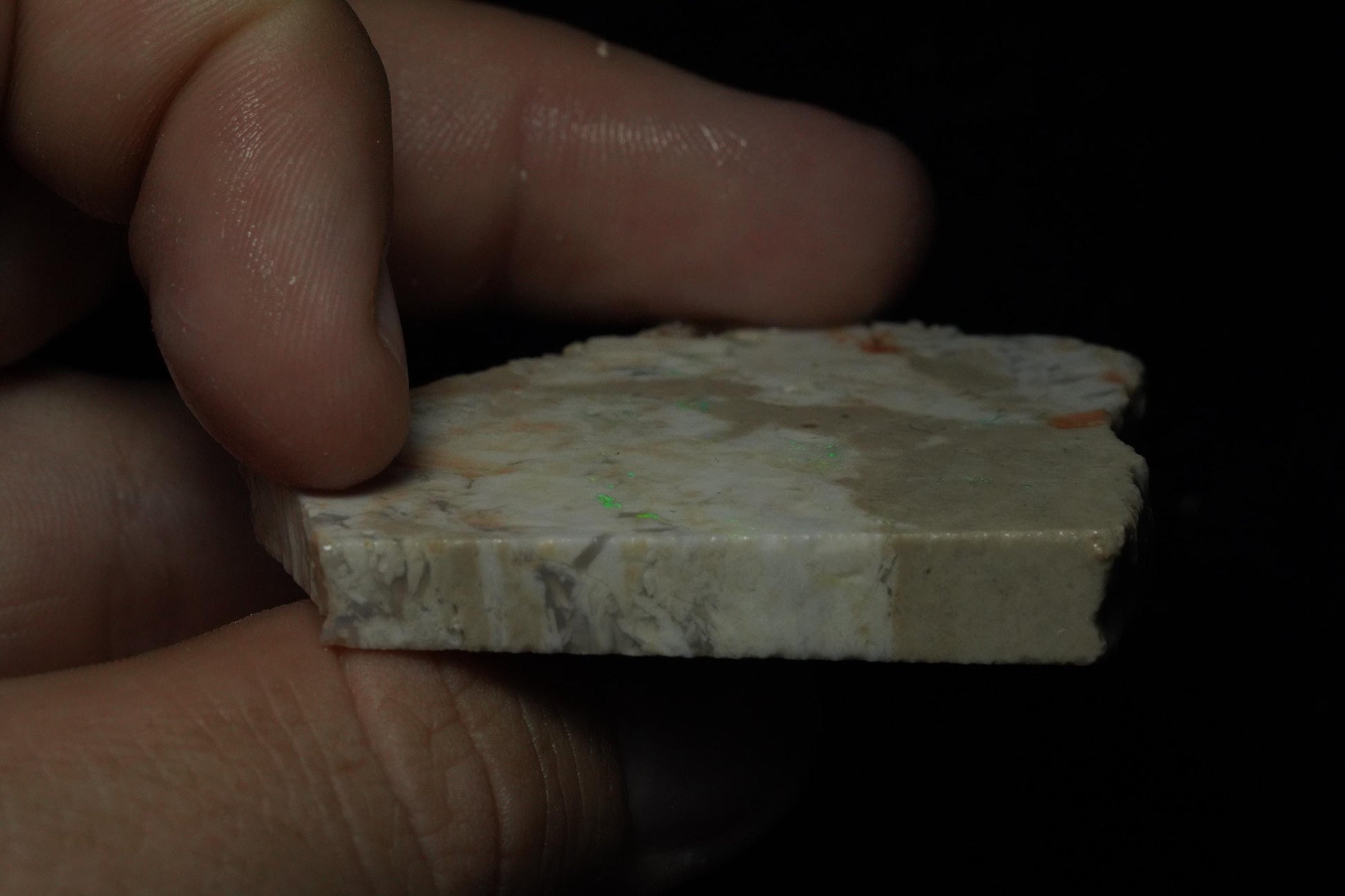 Petrified Opalised Wood Fossil Specimen