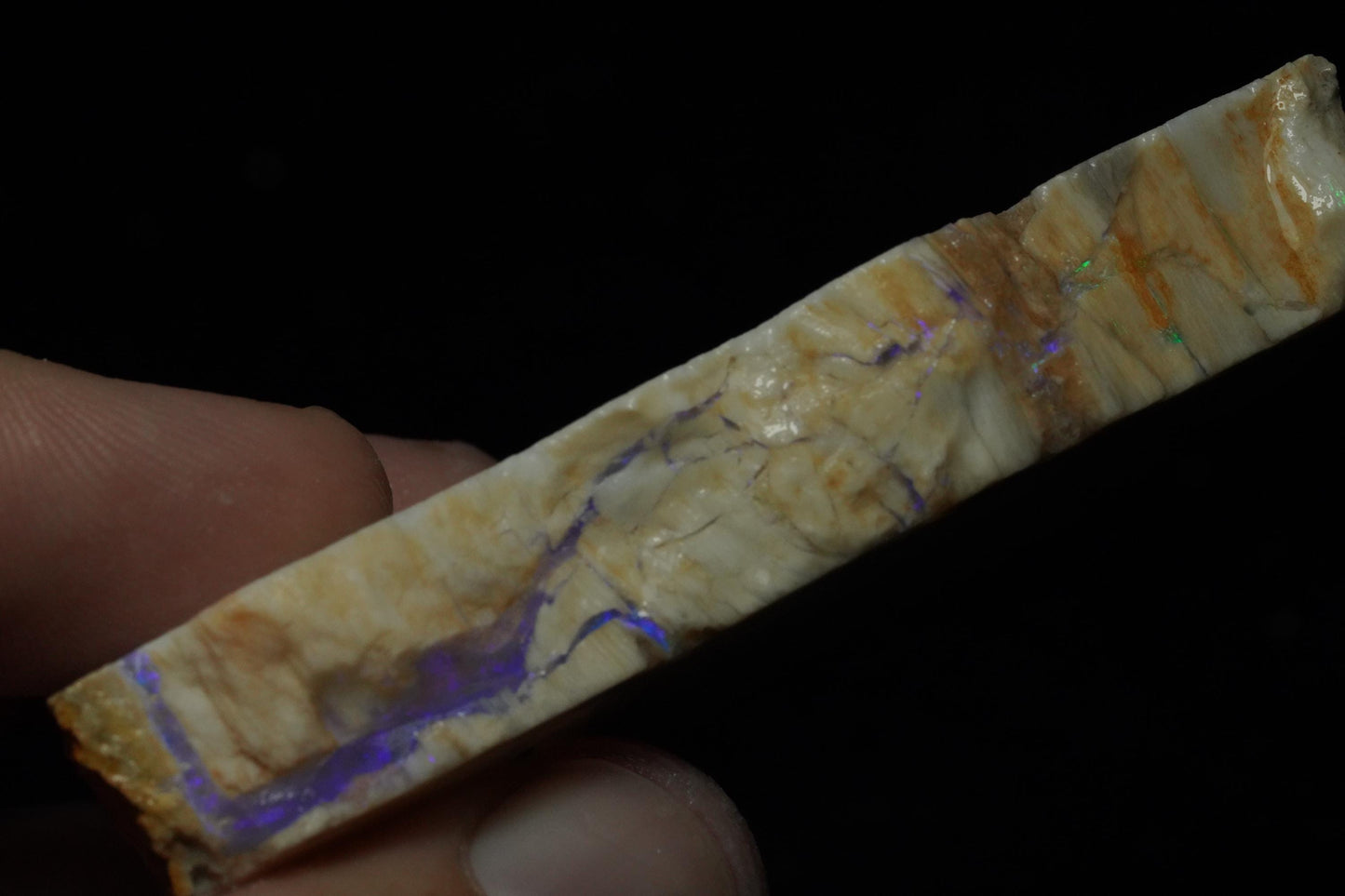 Petrified Opalised Wood Fossil Specimen