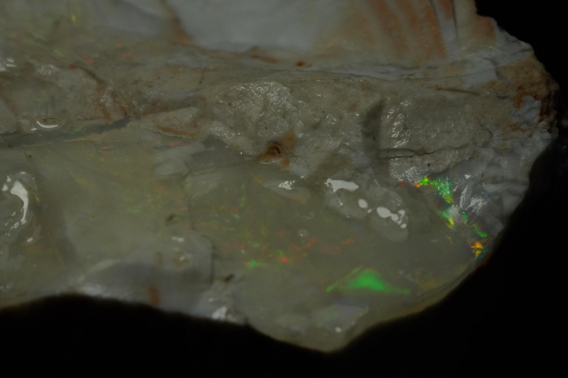 Petrified Opalised Wood Fossil Specimen