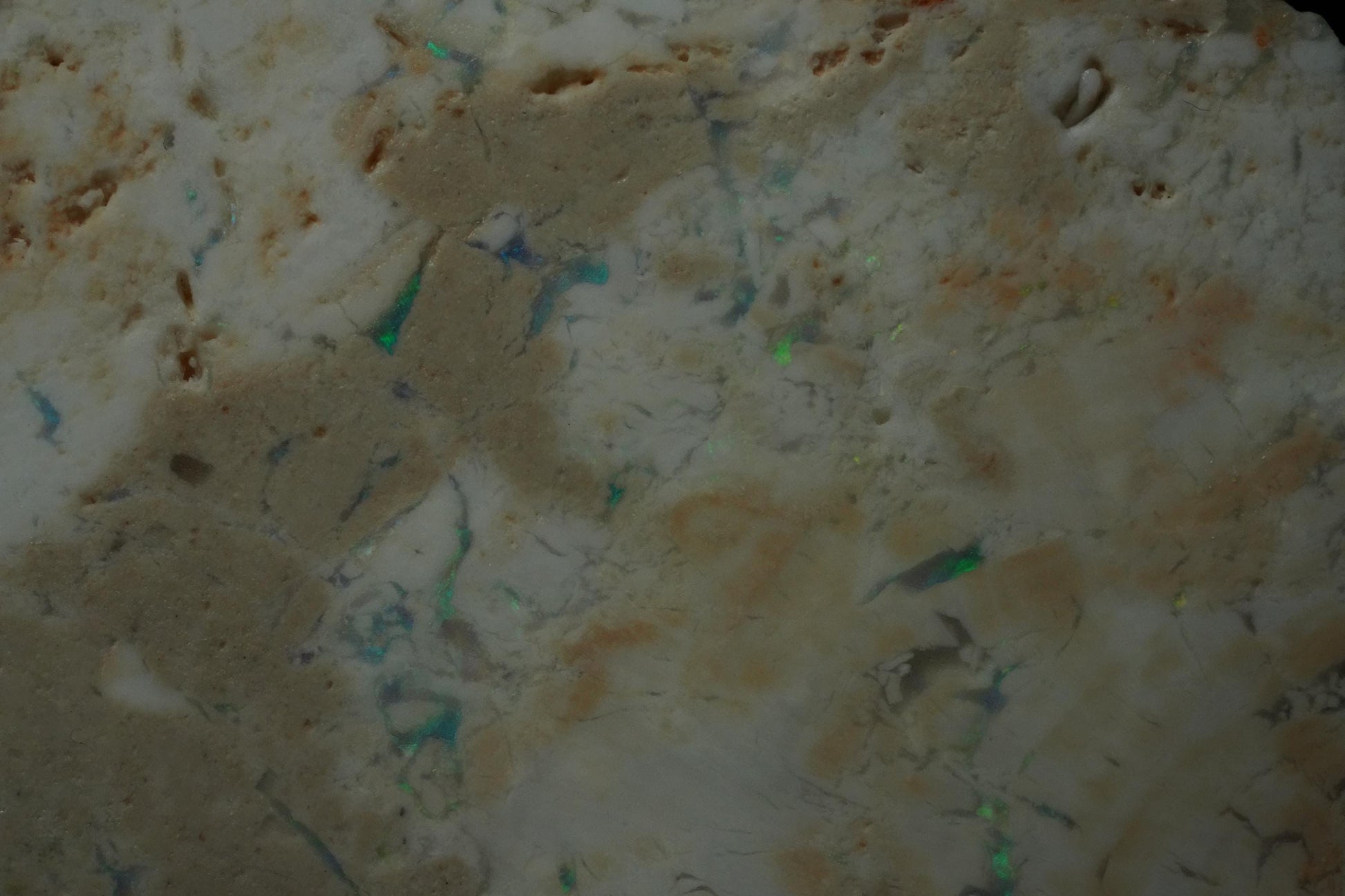 Petrified Opalised Wood Fossil Specimen