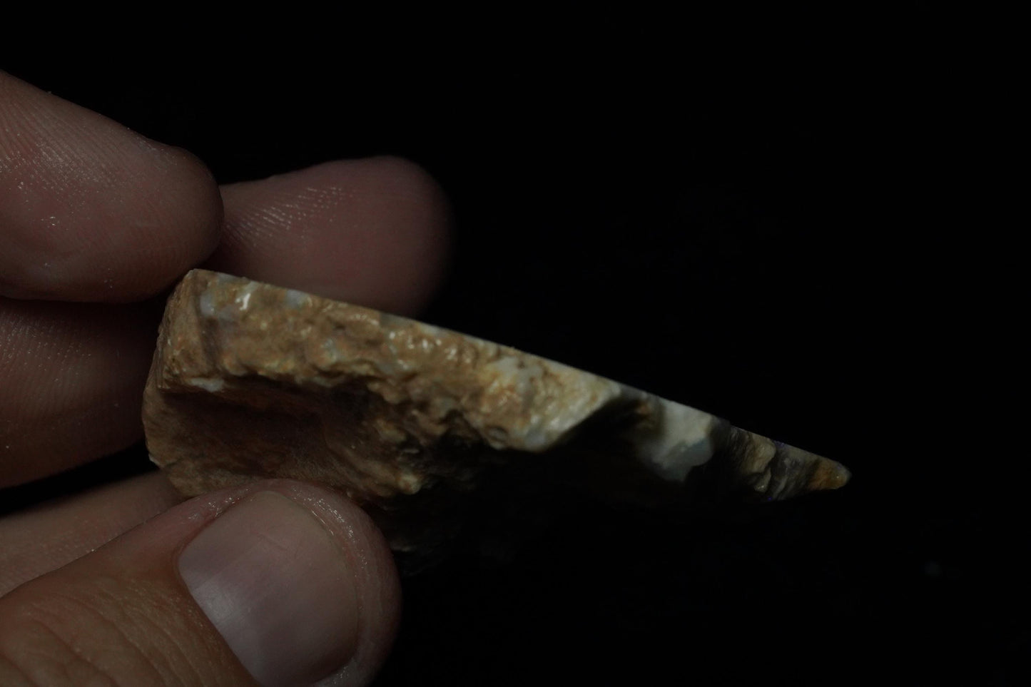 Petrified Opalised Wood Fossil Specimen