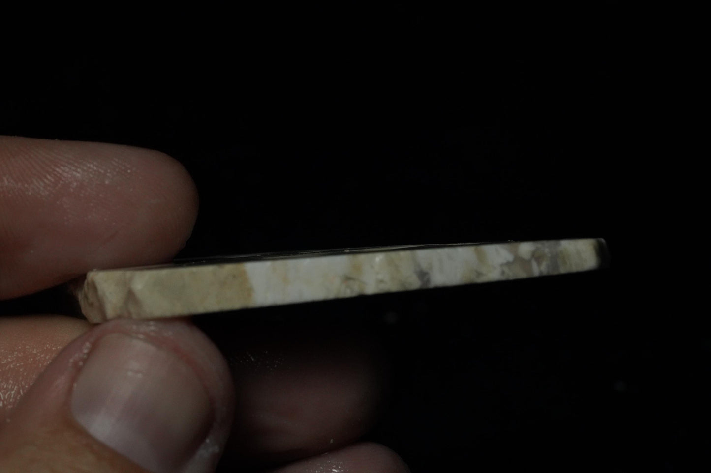 Petrified Opalised Wood Fossil Specimen