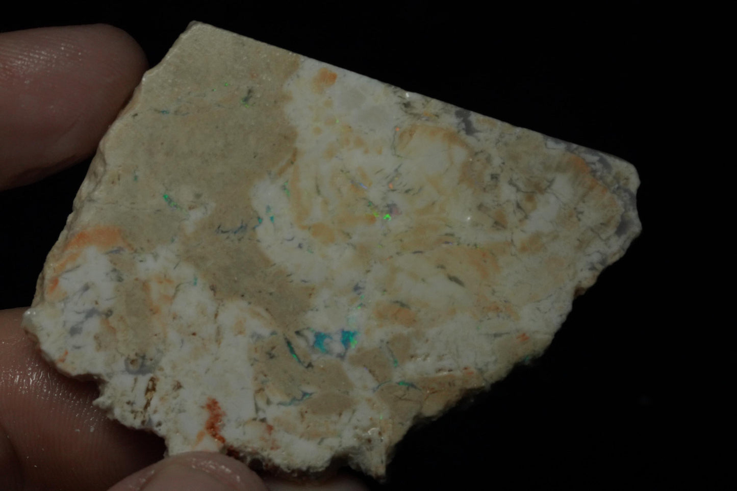 Petrified Opalised Wood Fossil Specimen