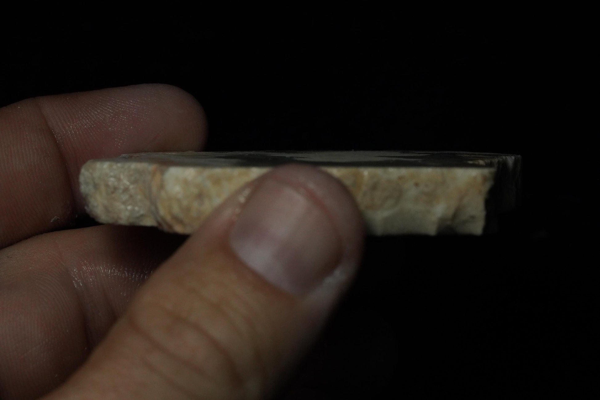 Petrified Opalised Wood Fossil Specimen