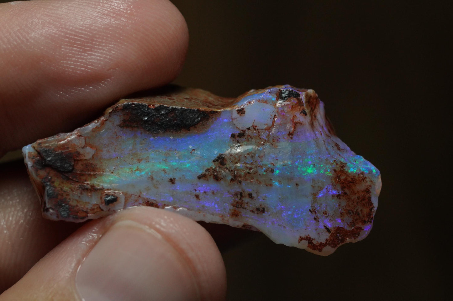 Rough Australian Opal