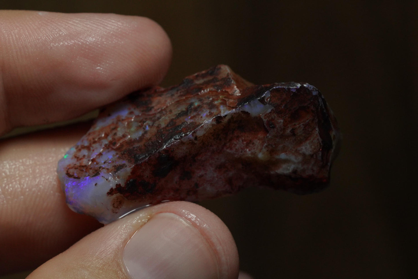 Rough Australian Opal